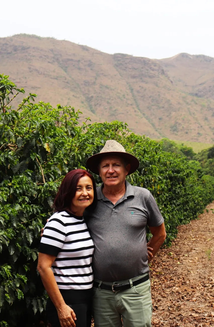 Brazilien Yellow Catucai - Monjolo