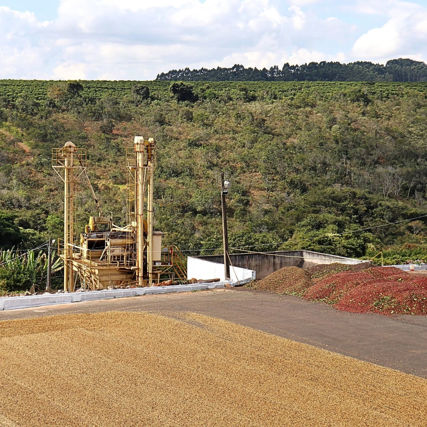 Brazil Topazio - Cerrado